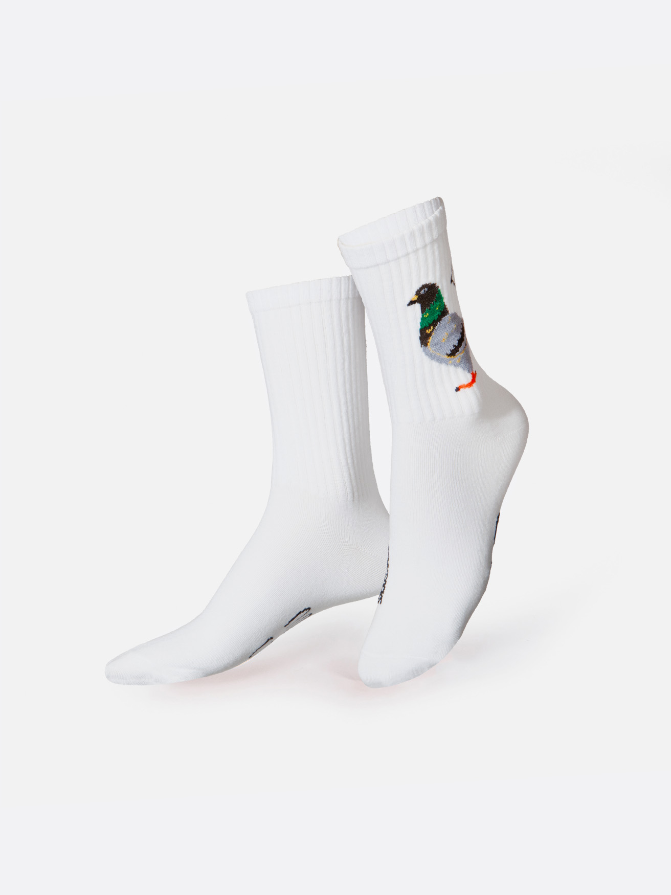 Picture of EMS, Socks, Adults, Flat, Pigeon