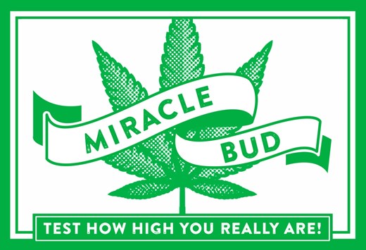 Picture of Miracle Bud