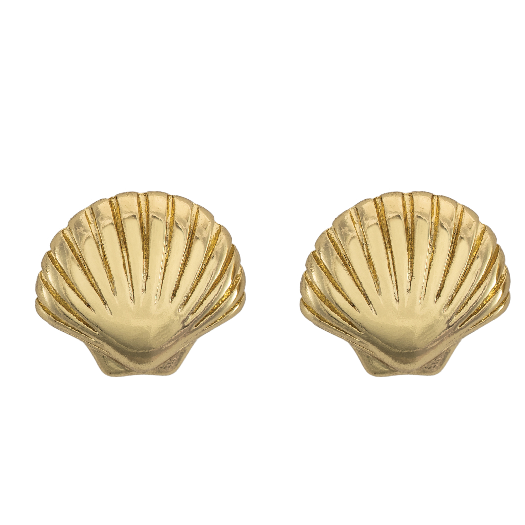 Picture of gold sea shell dainty charm stud earrings