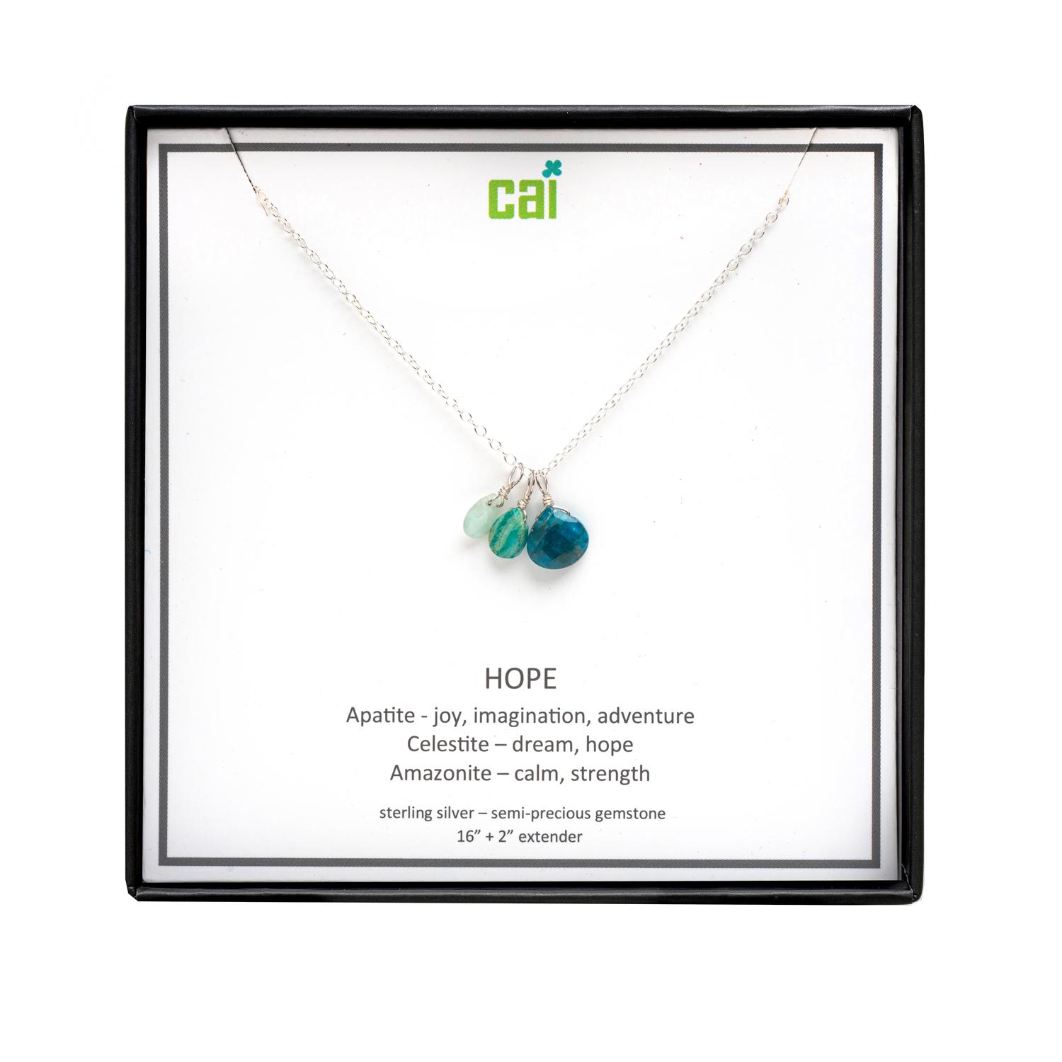 Picture of silver hope be inspired necklace