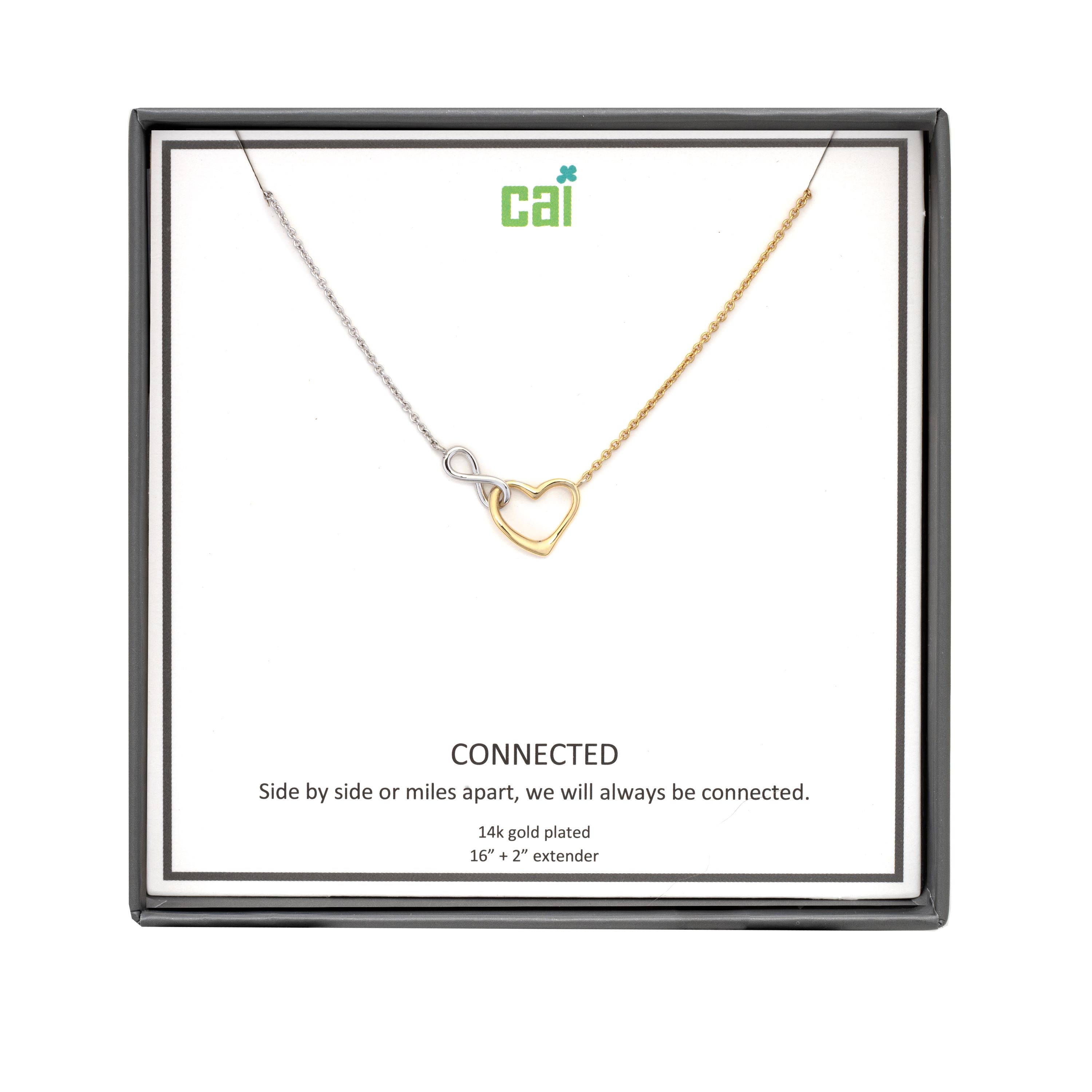 Picture of two tone forever always be connected necklace