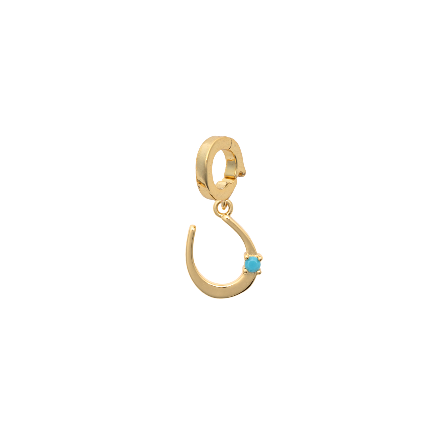 Picture of gold horseshoe designed for charming charm