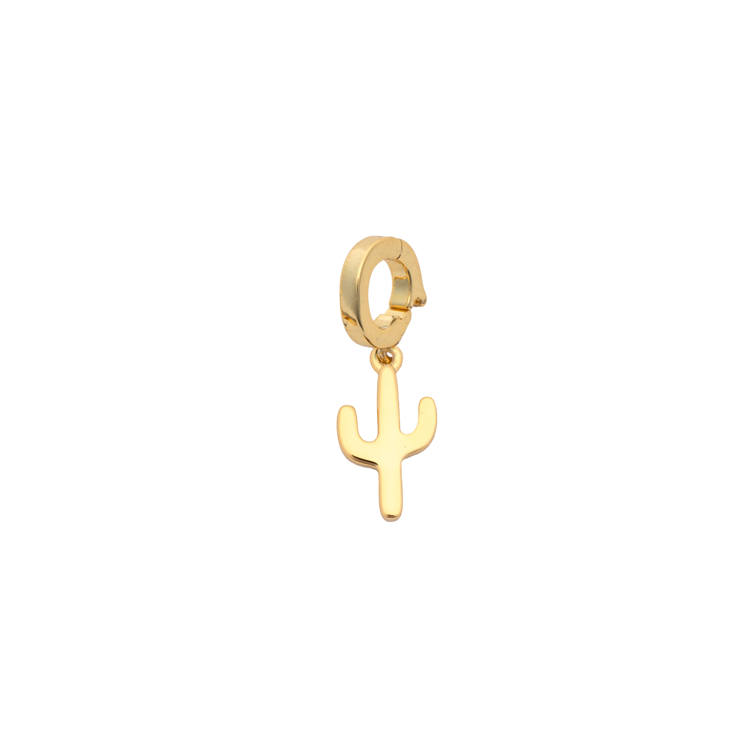 Picture of gold cactus designed for charming charm