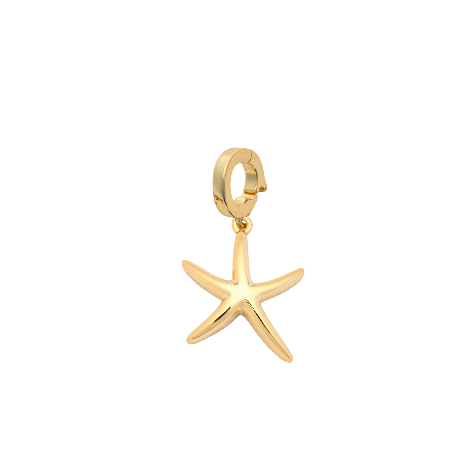 Picture of gold seastar designed for charming charm