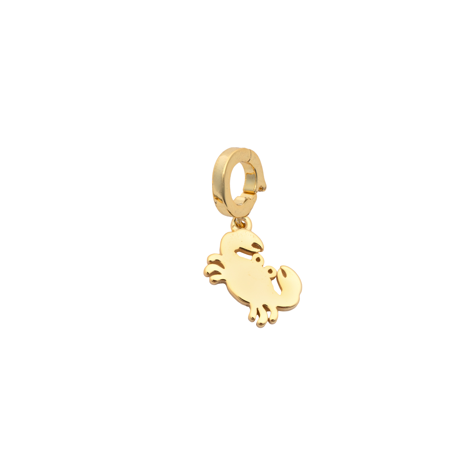 Picture of gold crab designed for charming charm