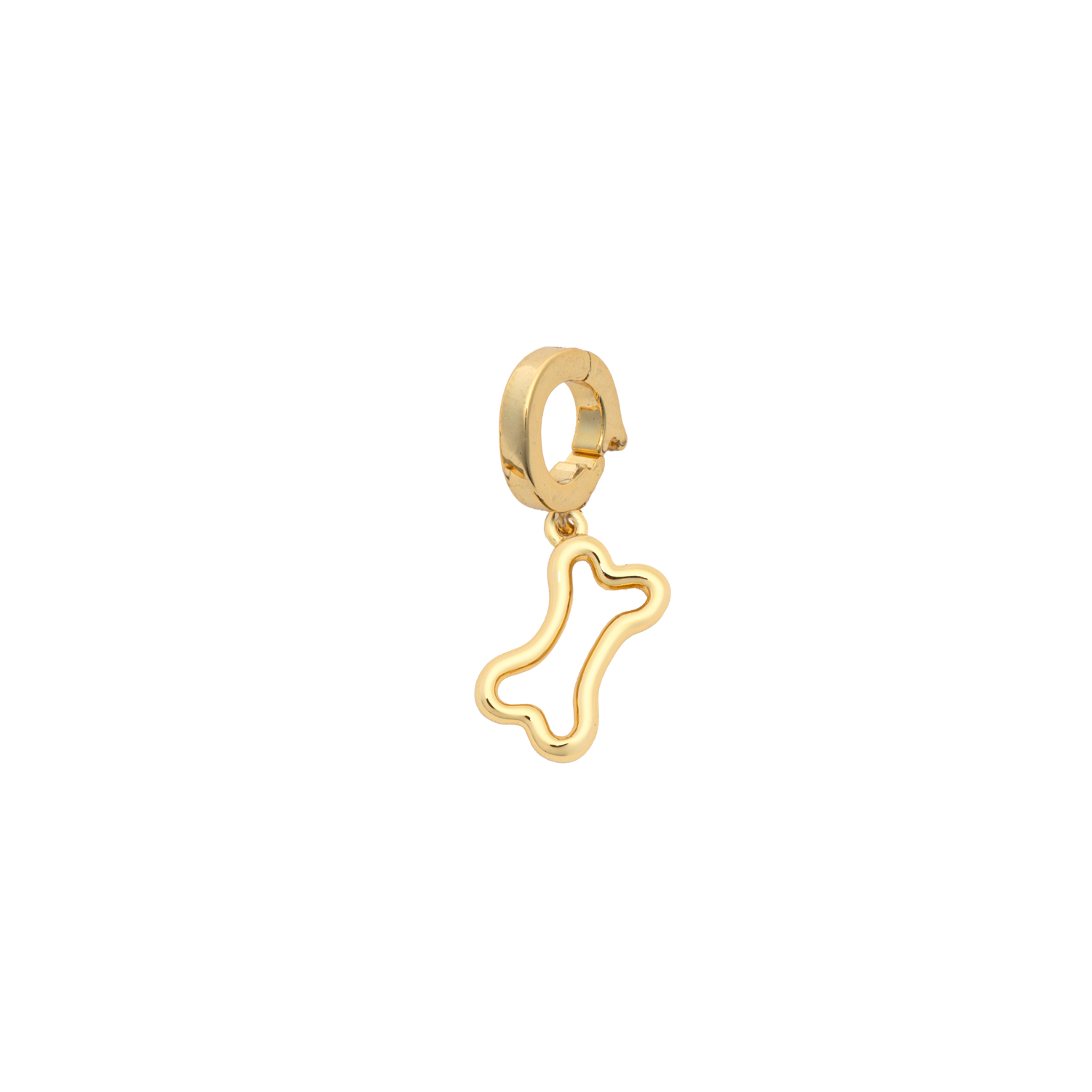 Picture of gold dog bone designed for charming charm