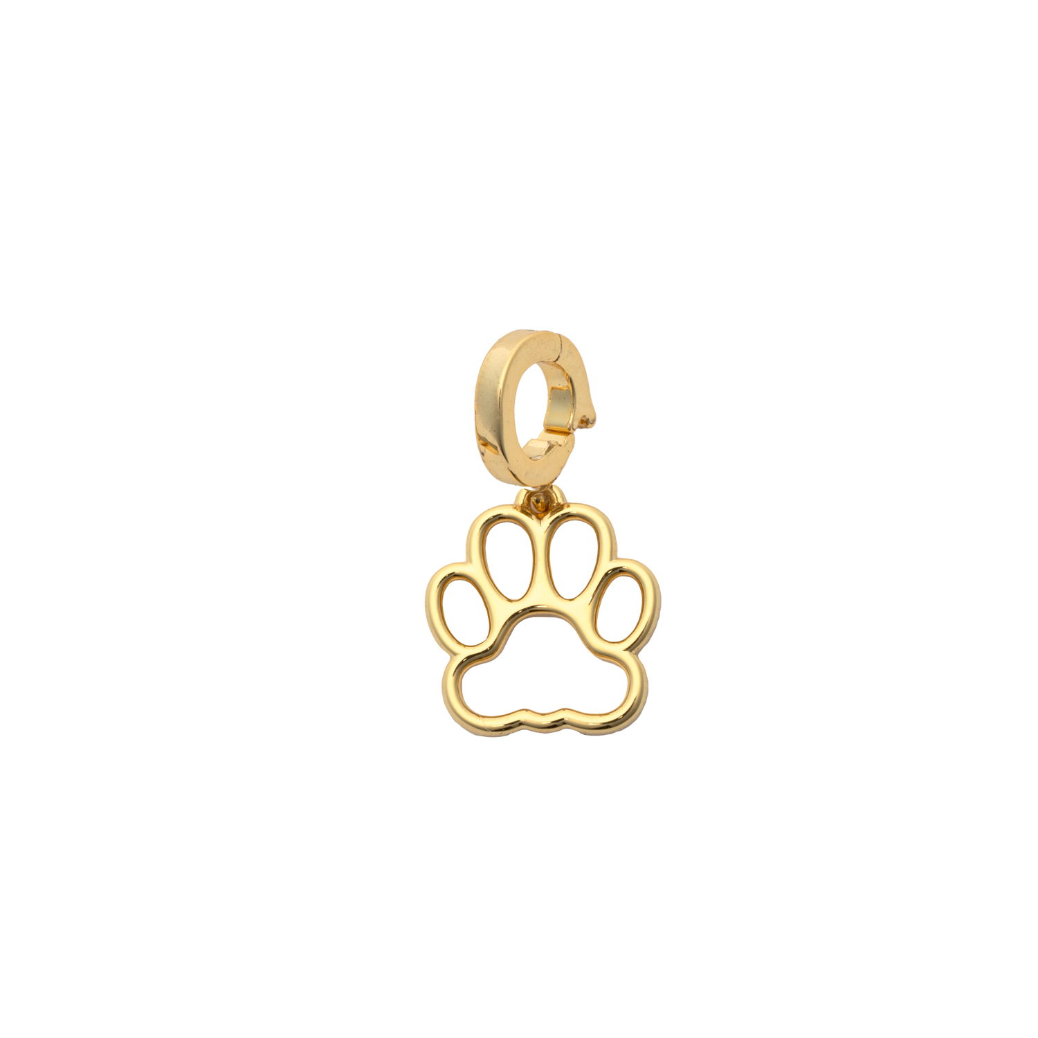 Picture of gold dog paw designed for charming charm