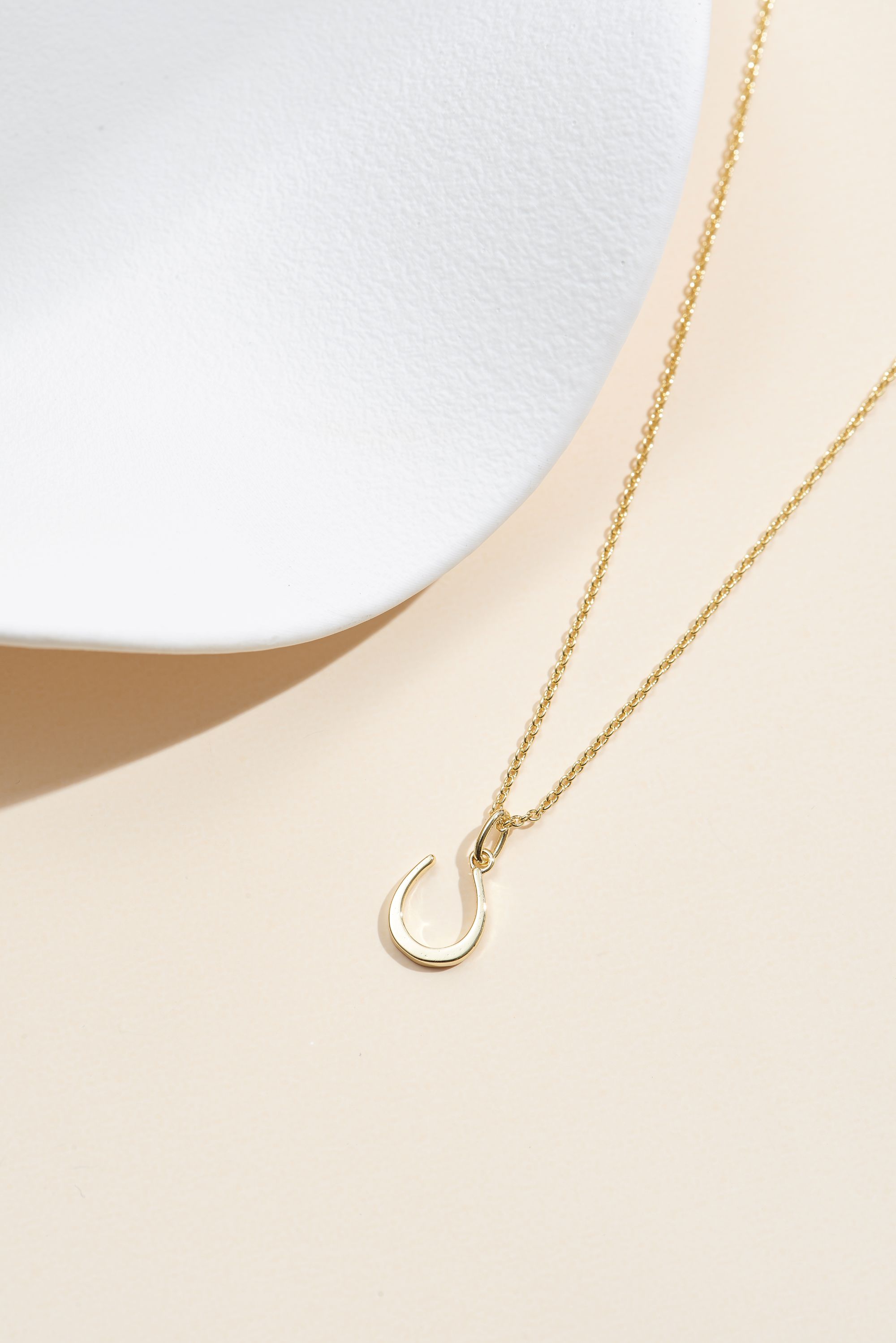 Picture of gold wish and wonder horseshoe necklace