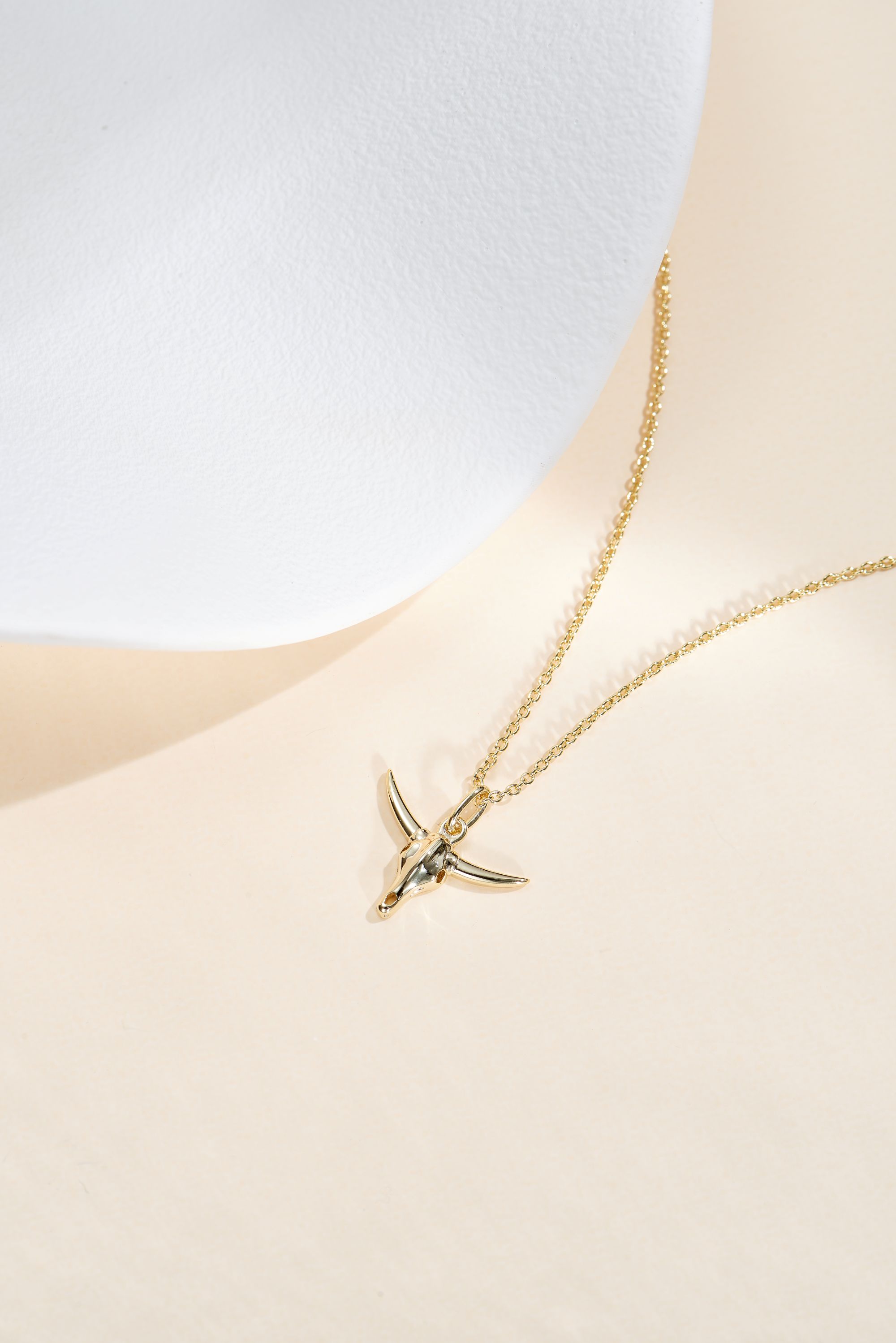 Picture of gold wish and wonder longhorn necklace