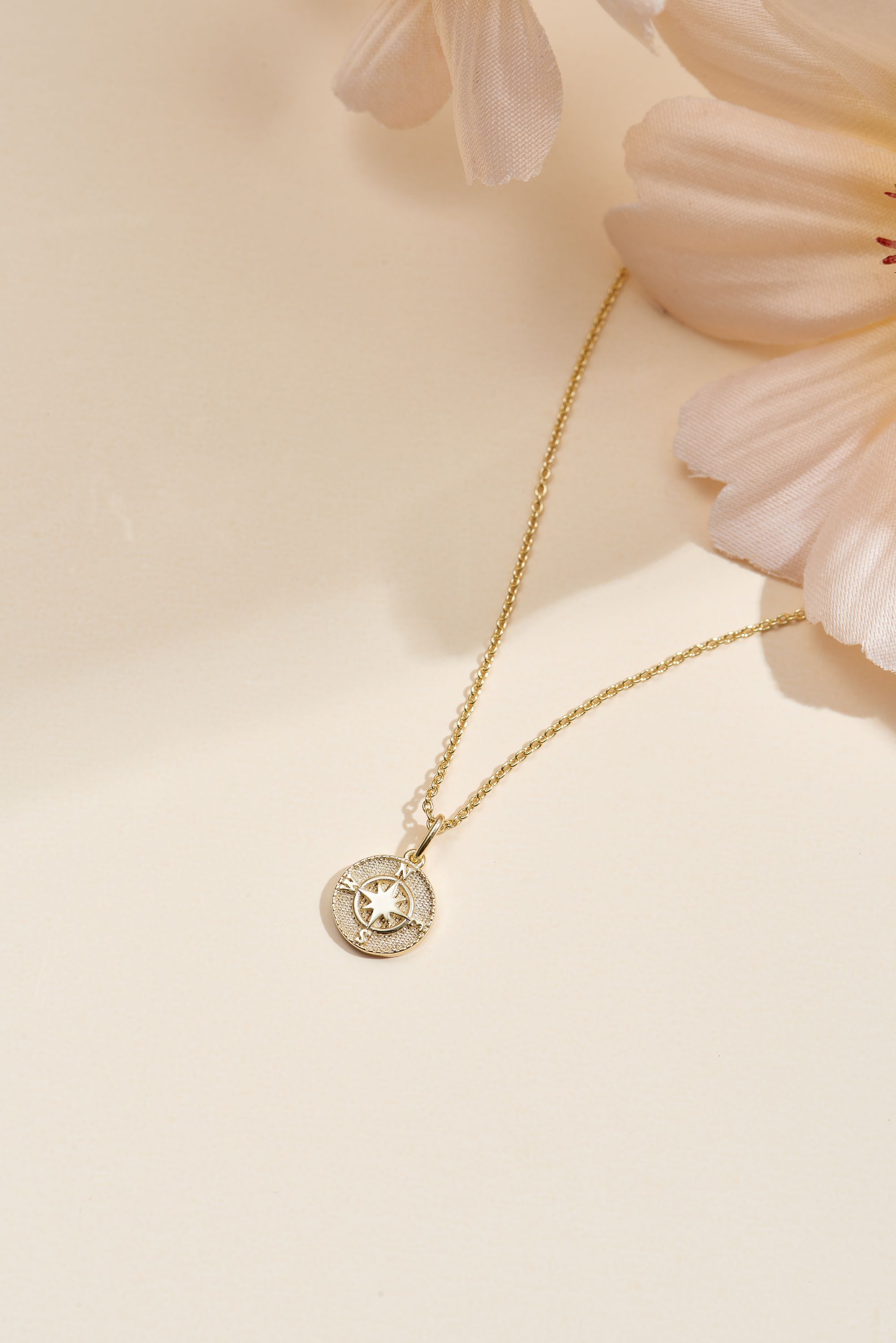 Picture of gold wish and wonder compass necklace