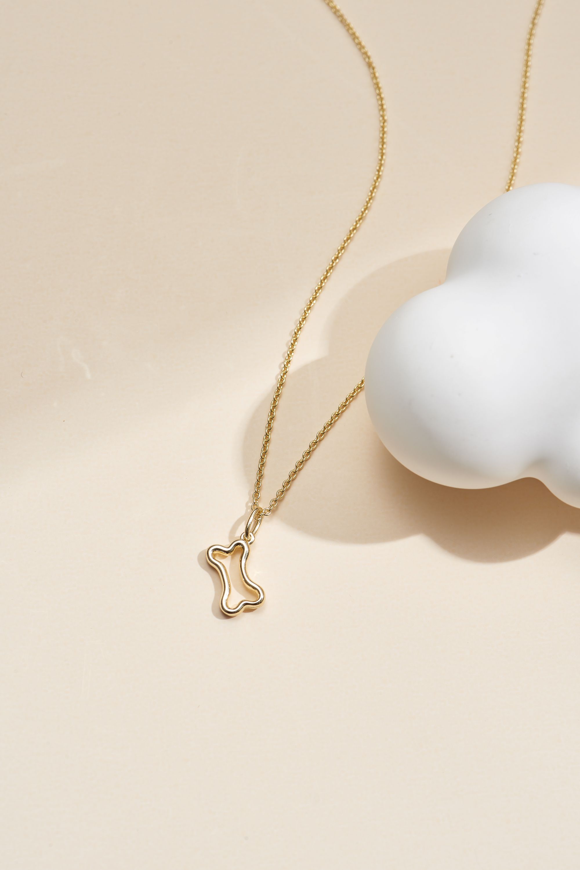 Picture of gold wish and wonder dog bone necklace