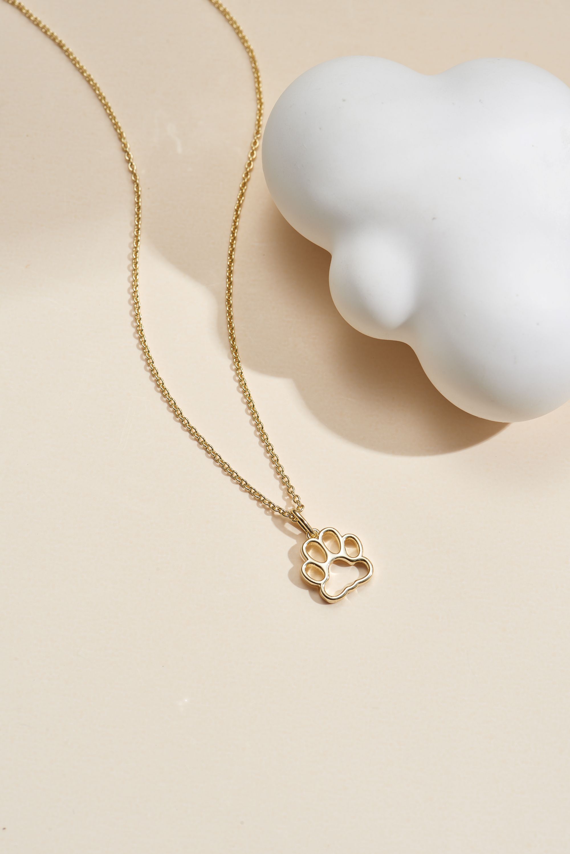 Picture of gold wish and wonder dog paw necklace