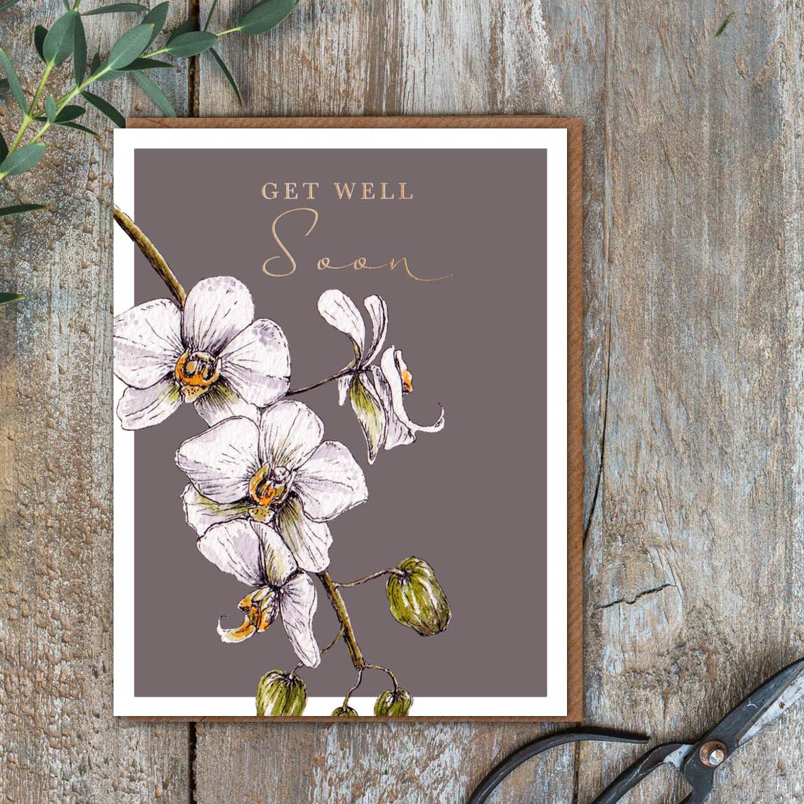 Picture of Get Well Soon Card (cello free)