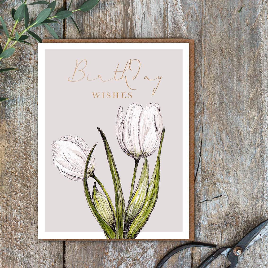 Picture of Birthday Wishes Card (cello free)