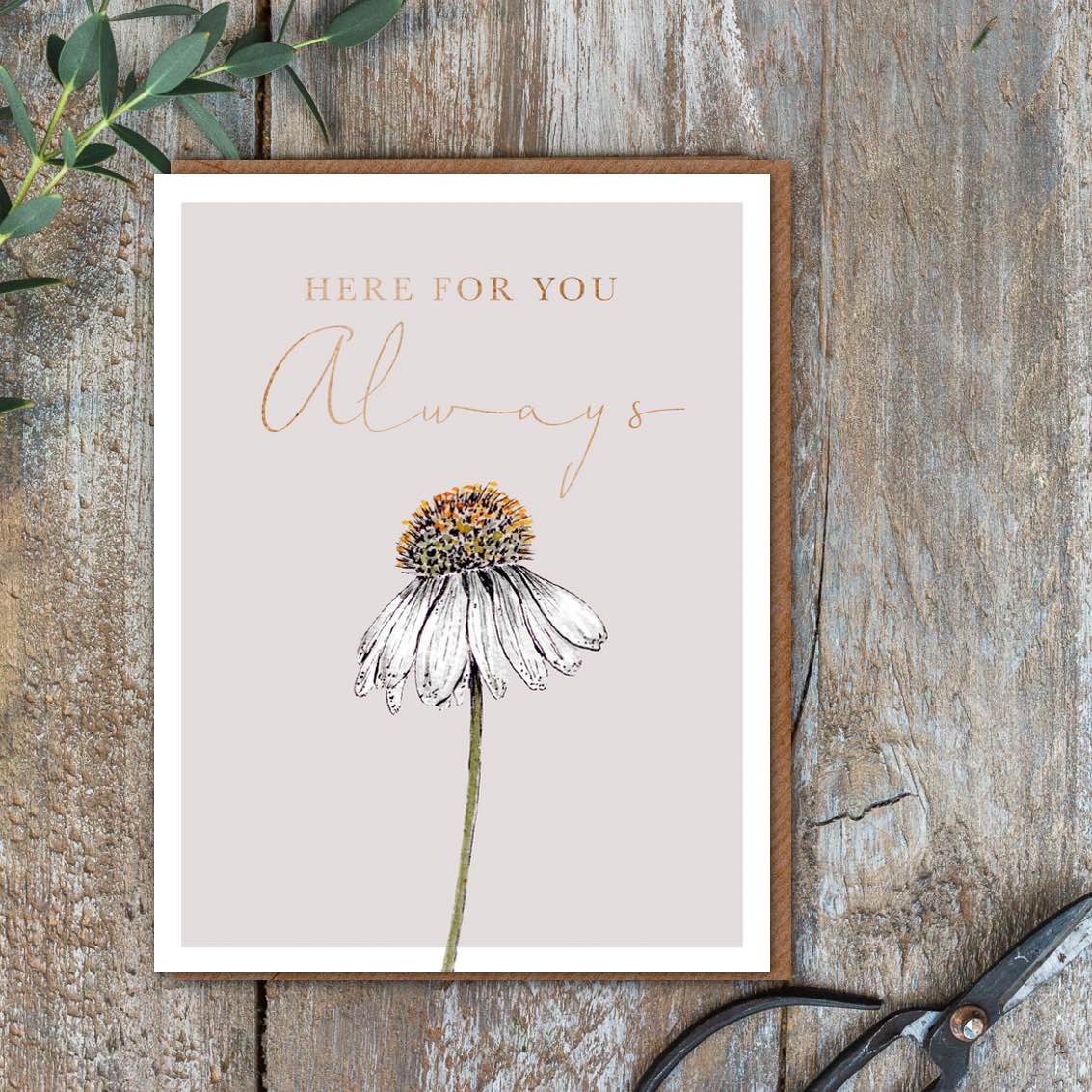 Picture of Always Here for You Card (cello free)