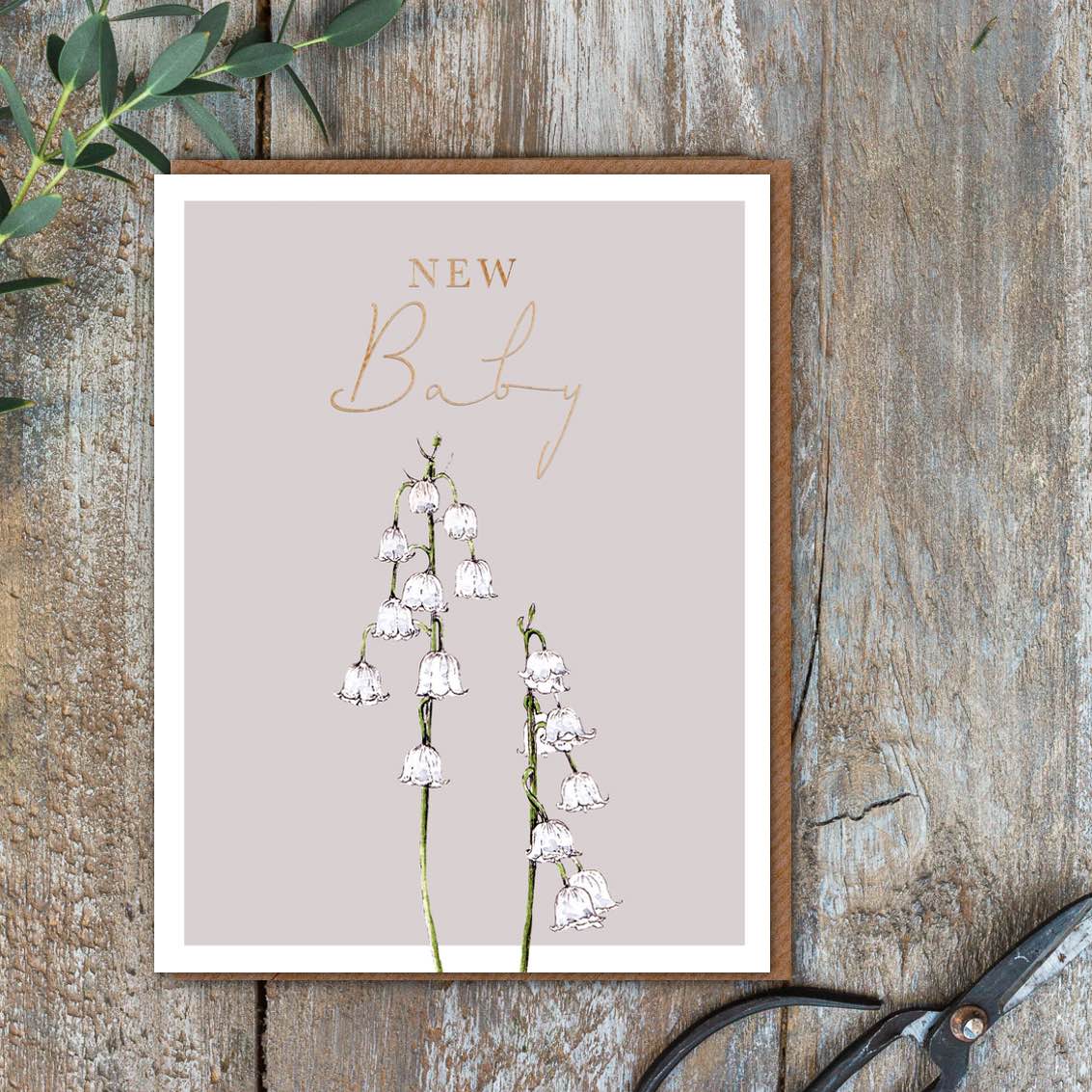 Picture of New Baby Card (cello free)