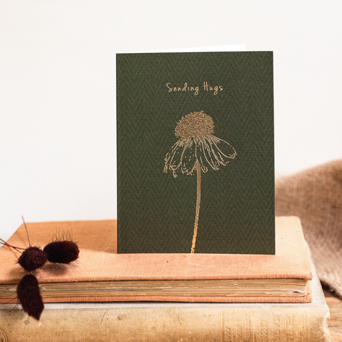 Picture of Sending Hugs Card (Cello-Free)
