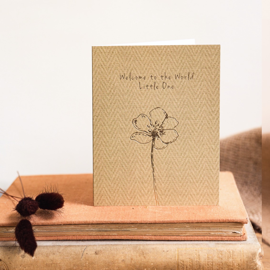 Picture of Welcome to the World Little One Card (Cello-Free)