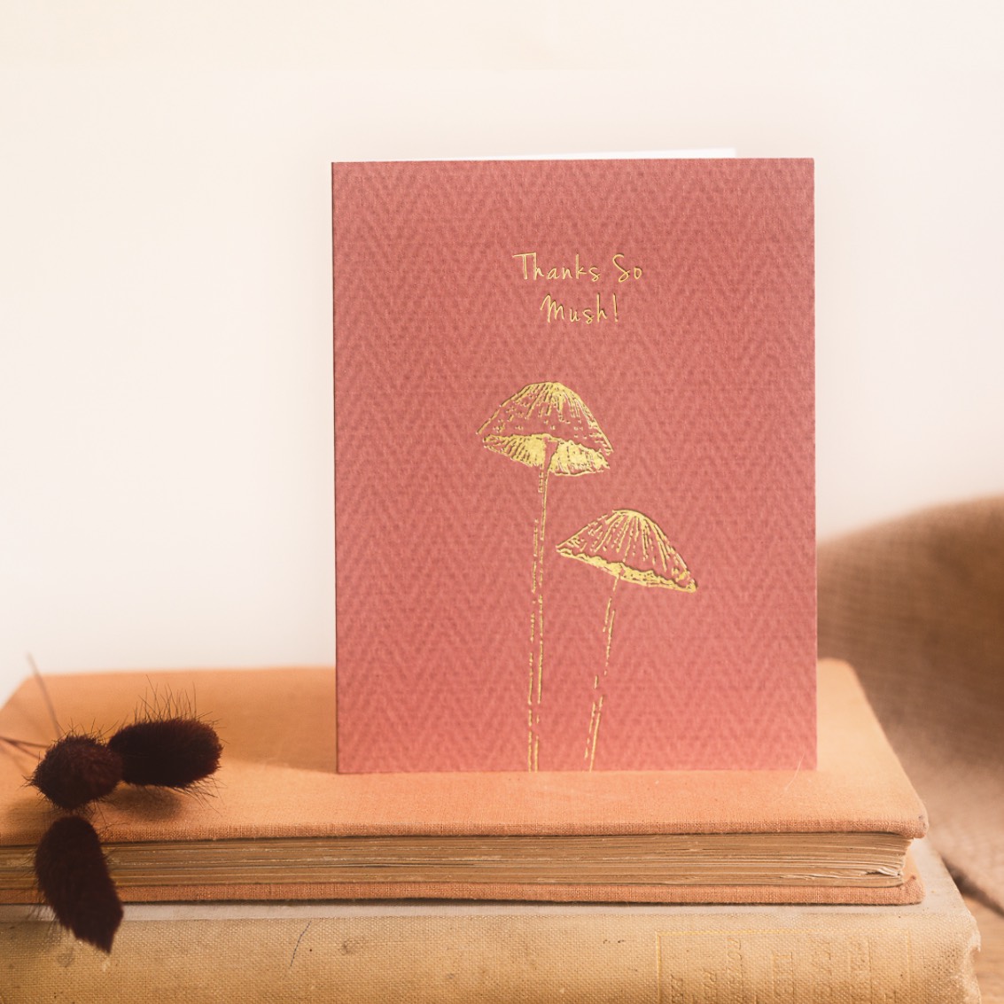Picture of Thanks So Mush! Card (Cello-Free)