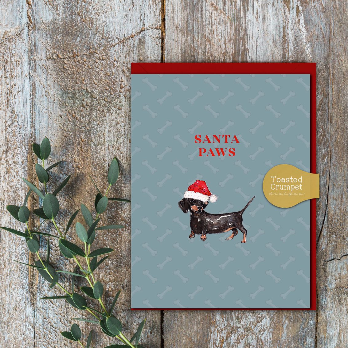Picture of Santa Paws (Cello-Free)
