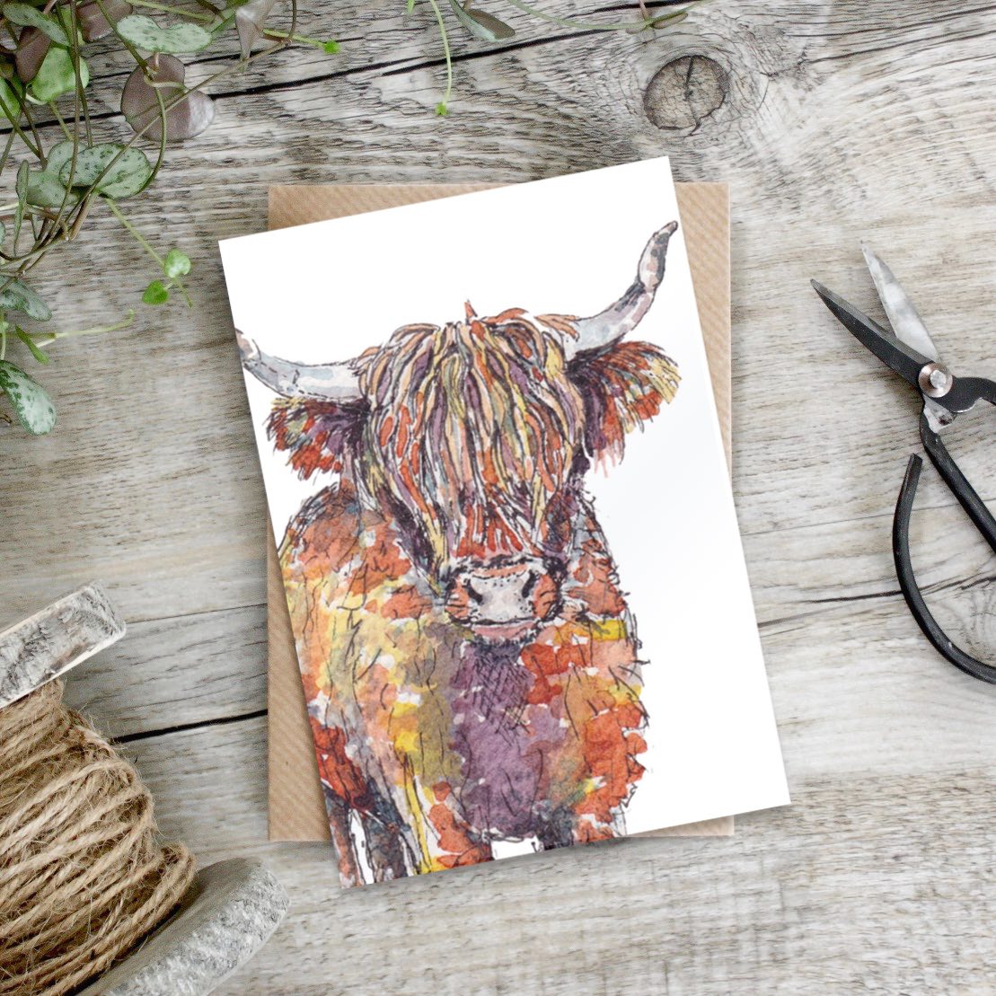 Picture of Highland Cow Card (Cello-Free)