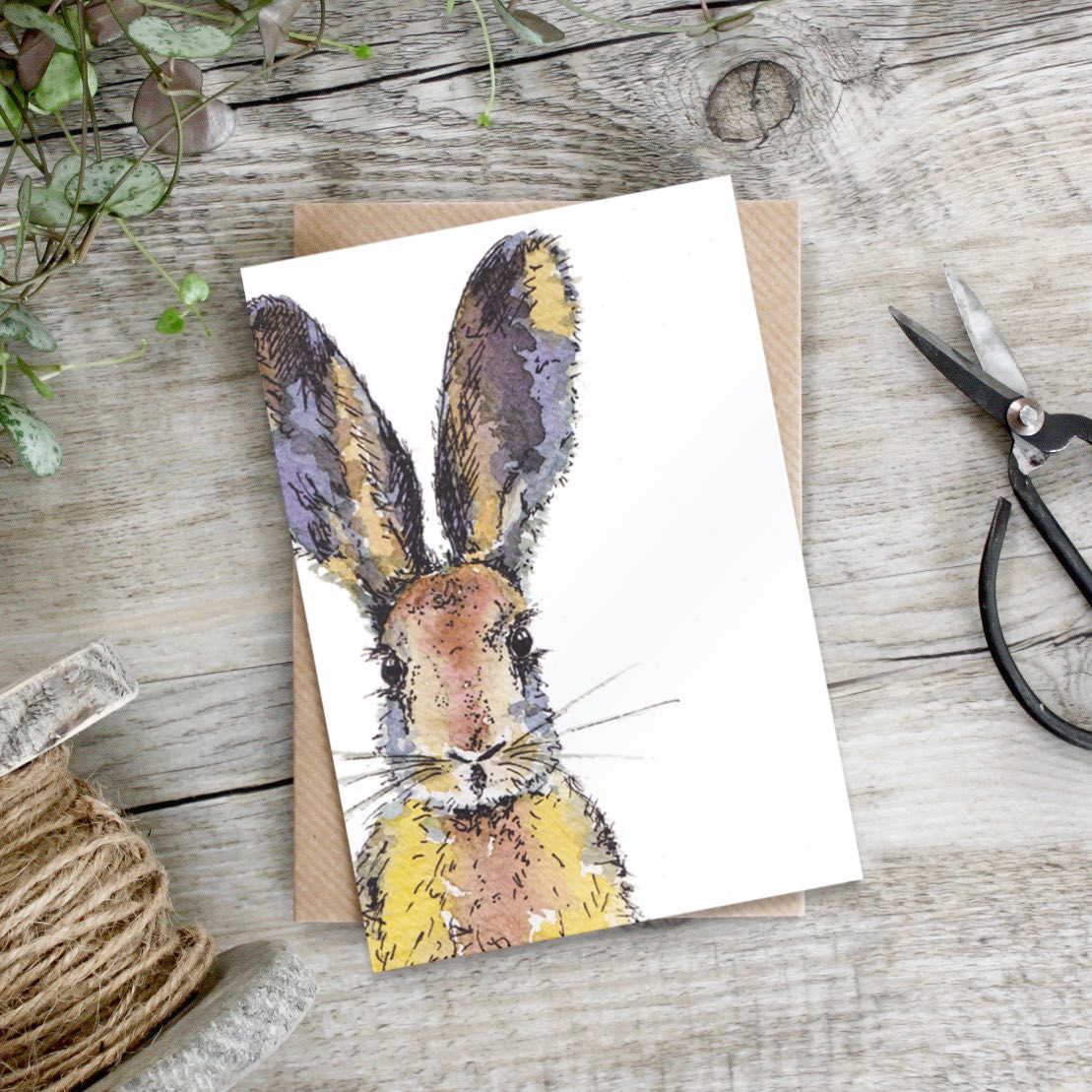 Picture of Coloured Hare Card (Cello-Free)