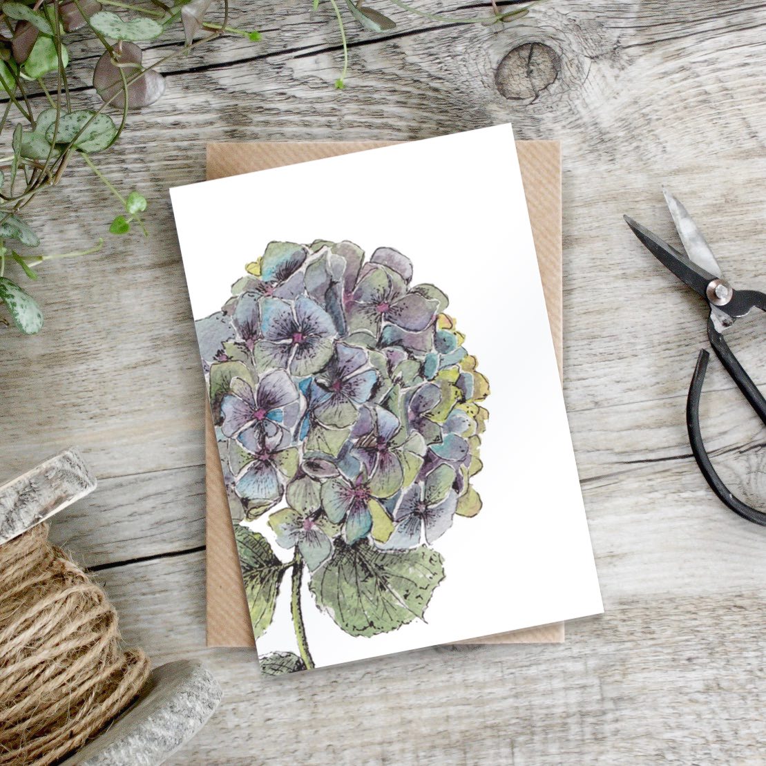 Picture of Hydrangea Card (Cello-Free)