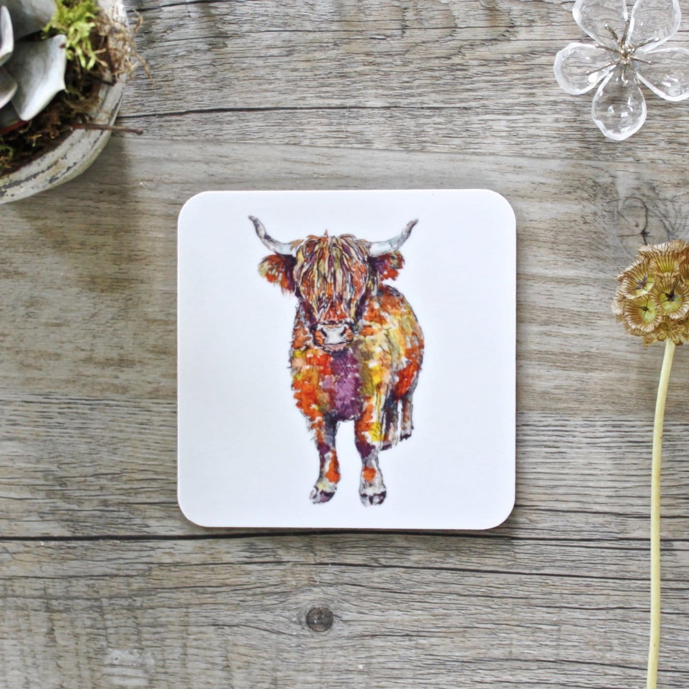 Picture of Highland Cow Square Coaster (single)