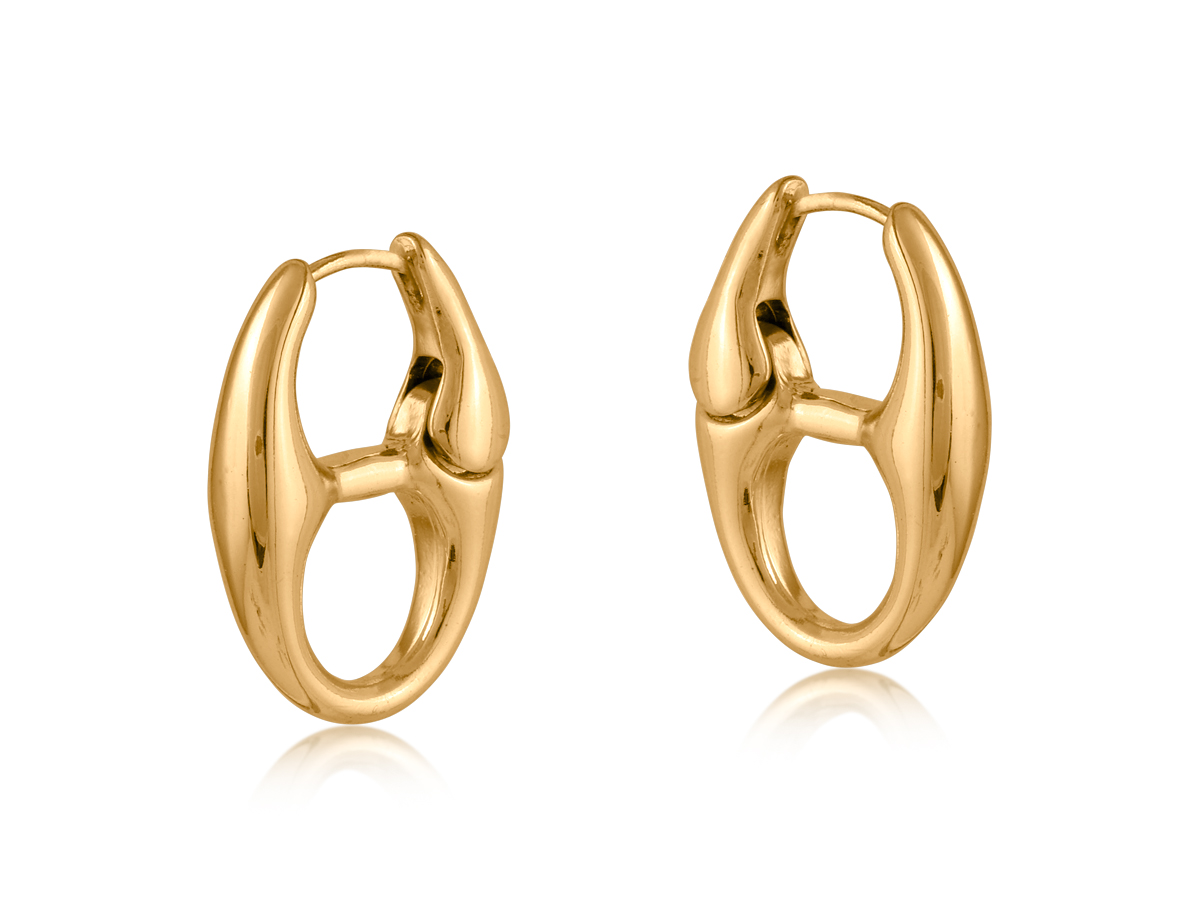 Picture of GOLD SURPRISE ANCHOR CHAIN EARRINGS
