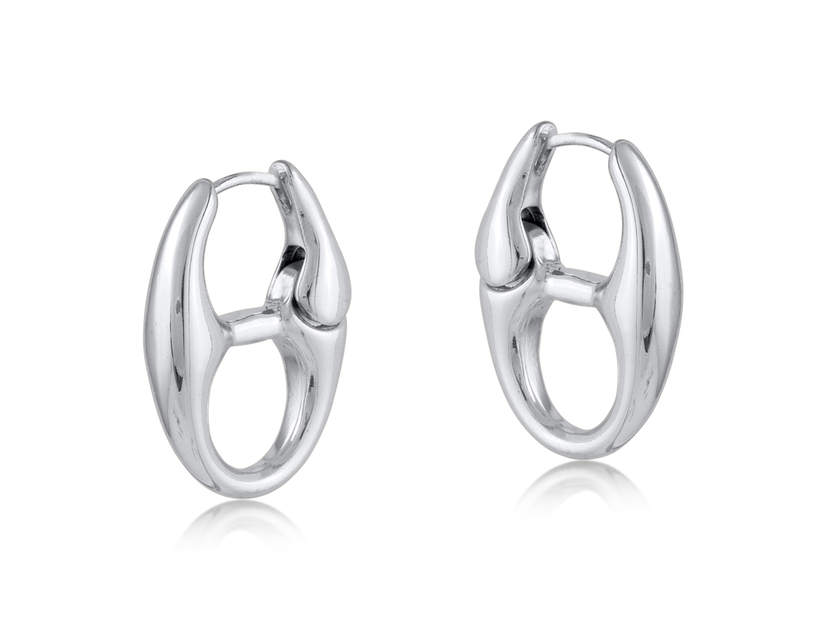Picture of SILVER  SURPRISE ANCHOR CHAIN EARRINGS