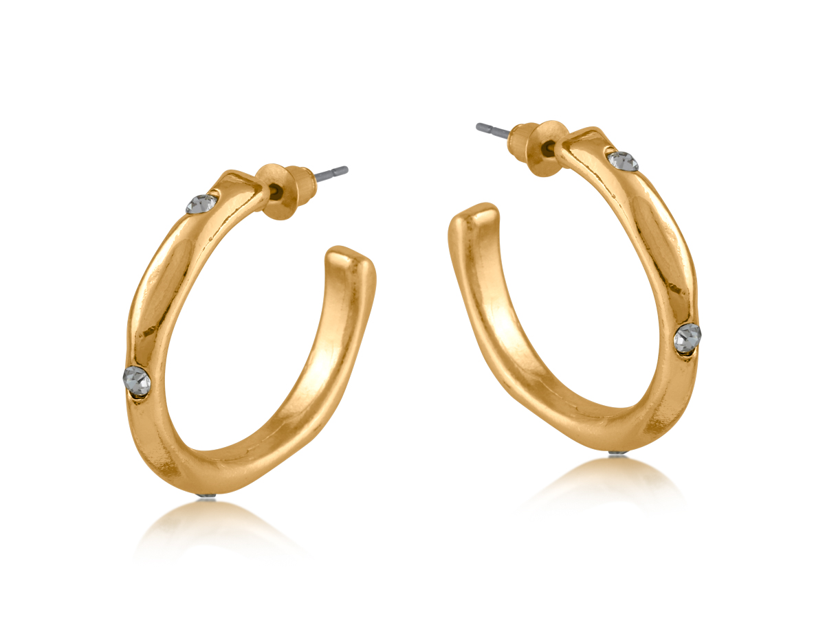 Picture of GOLD PAMELA ENCRUSTED ORGANIC SHAPE HOOP EARRINGS