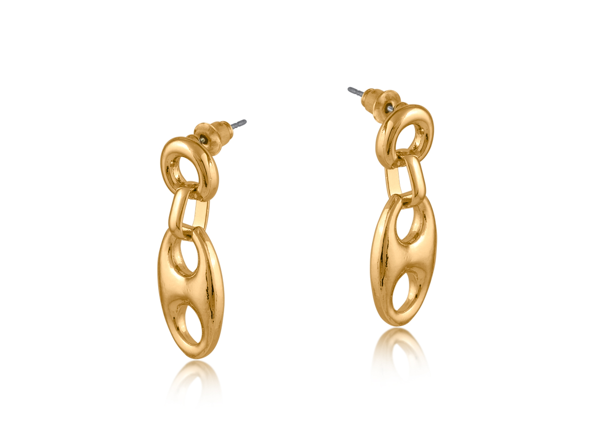 Picture of GOLD SURPRISE ANCHOR CHAIN EARRINGS
