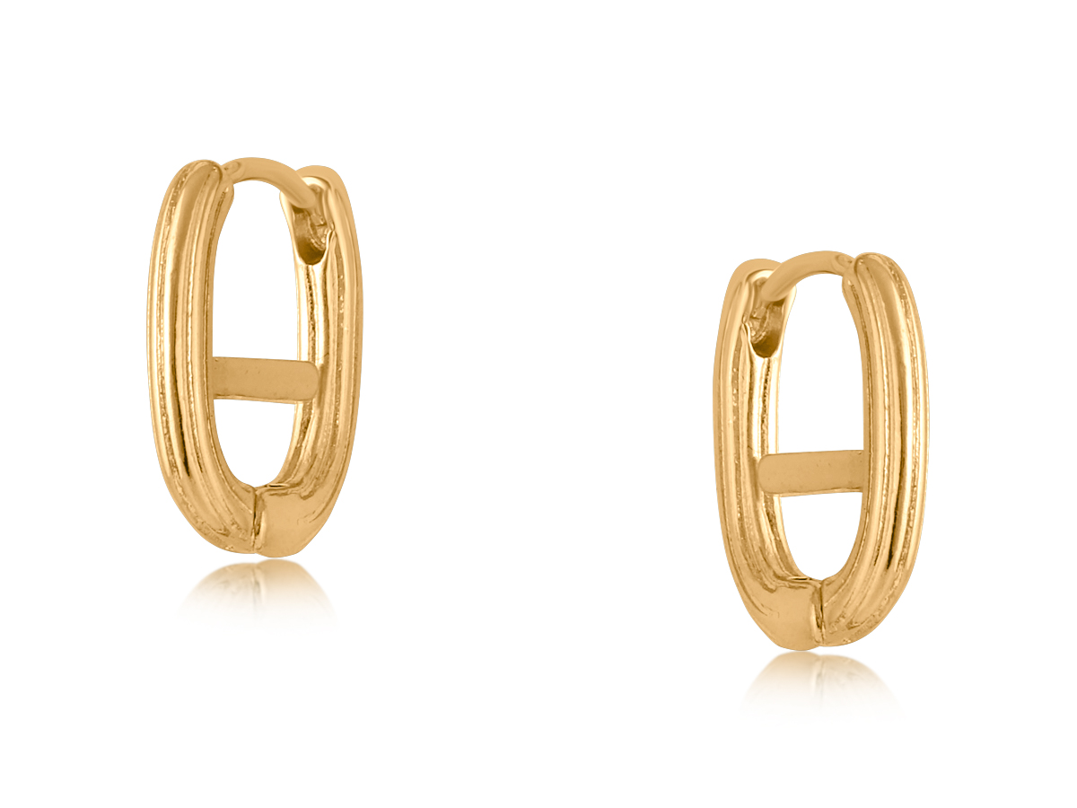 Picture of GOLD  PARIS SMALL HOOP EARRINGS