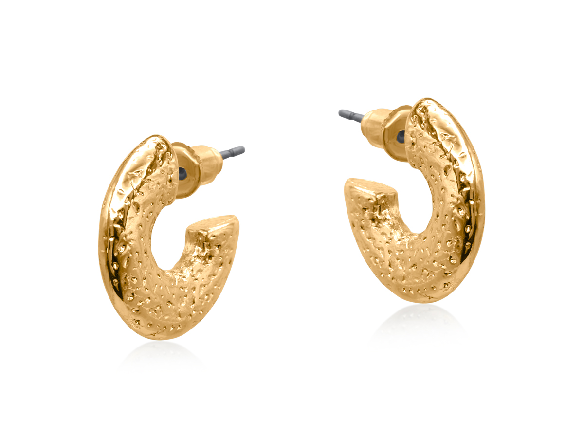 Picture of GOLD BELLAS TEXTURE HOOP EARRINGS