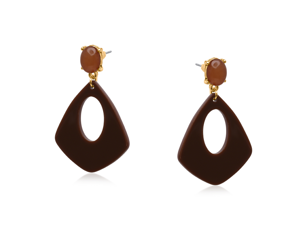 Picture of BROWN MIN GEO RESIN EARRINGS