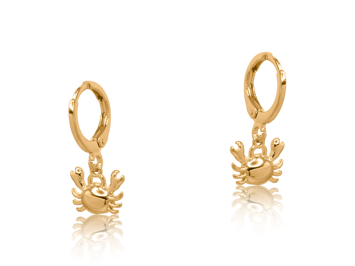 Picture of GOLD  VALENTINA SEA TOKEN PETITE HUGGIE EARRINGS