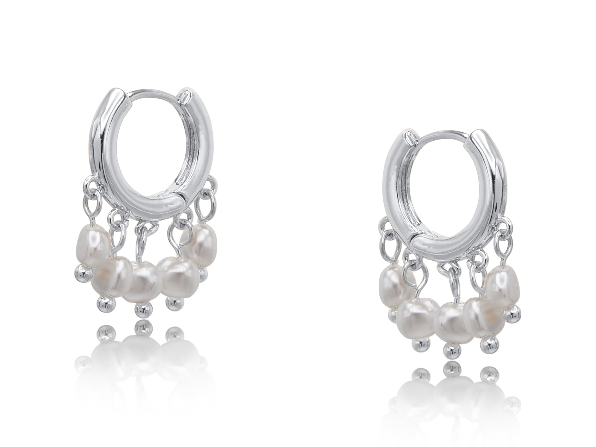 Picture of SILVER DAPHNE PETITE BRASS EARRINGS