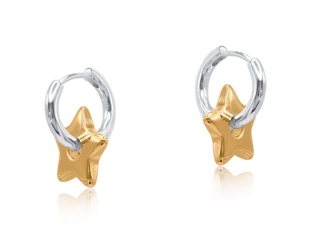 Picture of TWO TONE SILVER POLIANA TWO TONE START HUGGIES EAR