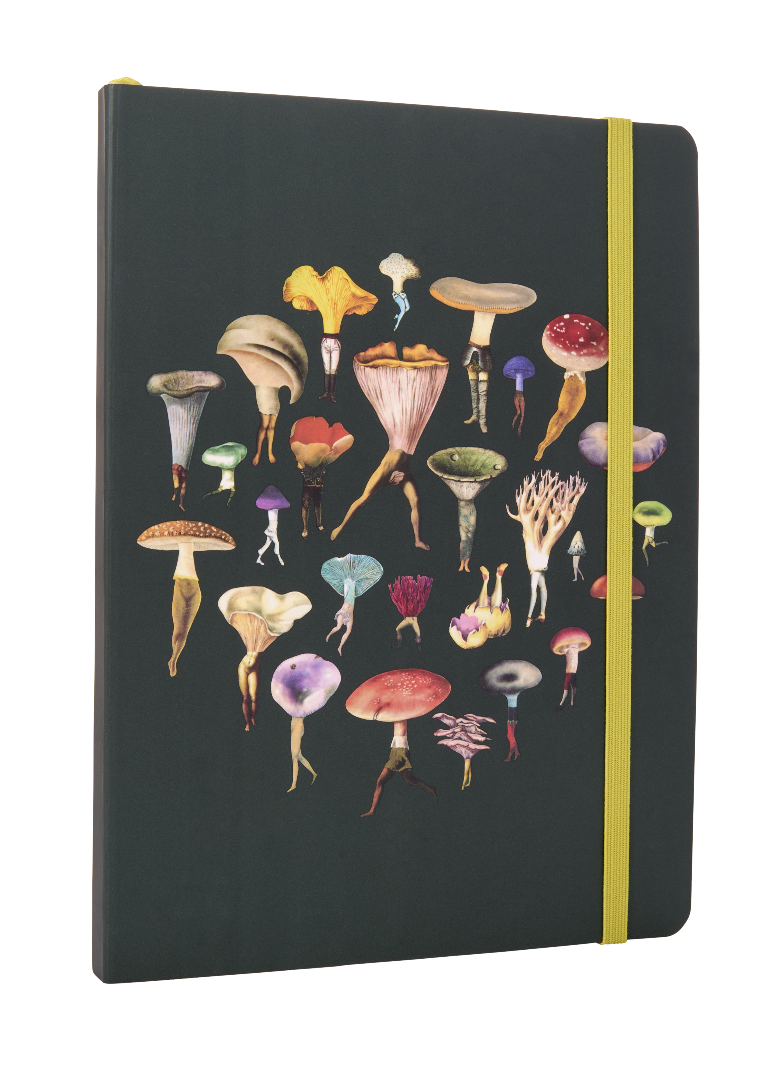 Picture of ART OF NATURE: FUNGI SOFTCOVER NOTEBOOK